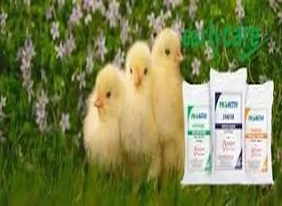 Indian Poultry Feeds