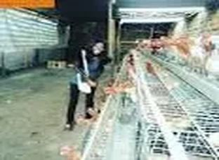 Kissan Poultry Equipment