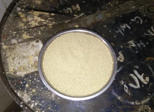 Quinoa