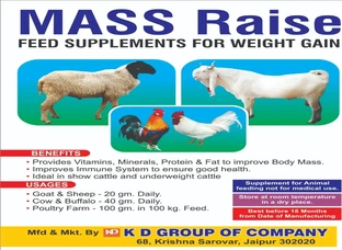 MASS RAISE POWDER