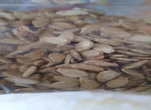 Pumpkin and Ash gourd seeds