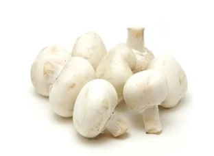 Mushroom cultivation