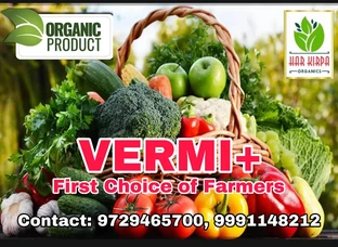 Vermi+