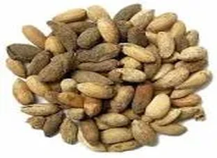 Neem seeds