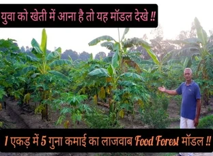 Shyam Singh Rod
