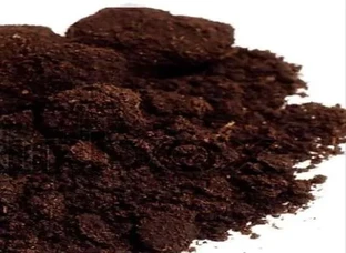 Vermicompost