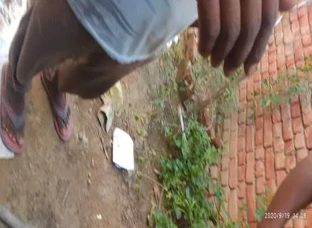 Tejash