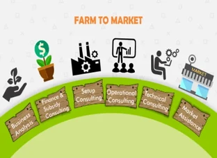 AGRI N AGRO HYDROPONIC,MUSHROOM