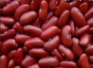 Rajma