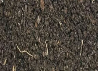 Compost khaad