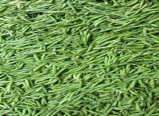 Green Peas