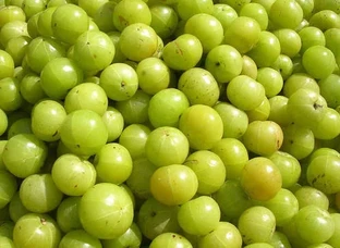 Organic Gaavran Amla