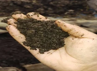 Vermicompost