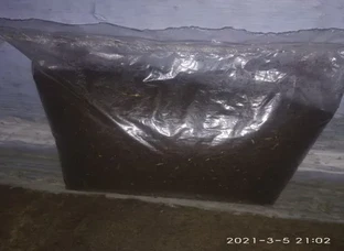 Vermicompost
