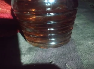 Eucalyptus oil