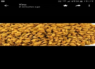 Methi 