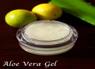 Aloe vera