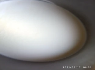 Milk