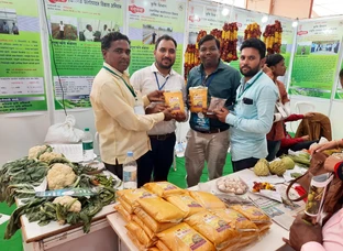 Organic Turmeric Powder
