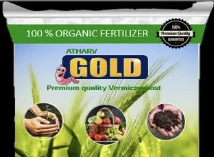 Atharv Gold