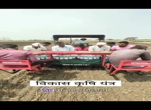 Onion seedling machine 