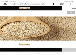 Quinoa