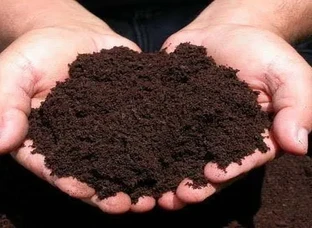 Dev bhumi vermicompost