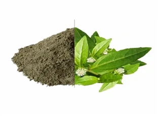 Organic Bhringraj Powder 200g