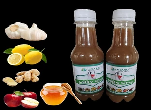 Blockage Open Syrup 300ml (pack of 6)