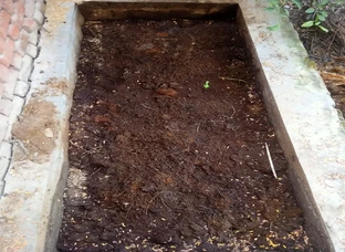 vermicompost