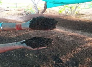 Organic Fertilizer