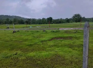 5 Acar plot for sell