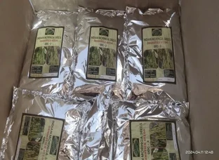 MORINGA SEEDS FOR SALE