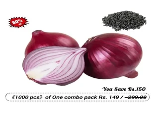 Onion Seeds Organic F1 Hybrid Seeds