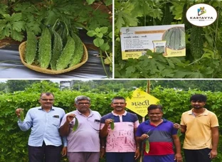 karela seeds of Kartavya Seeds | Masti Karela