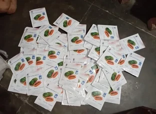 Papaya seeds & Plants