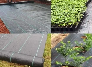 Weed Mat (100 GSM) For Agricultural Use