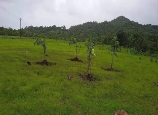 Farm house plot for sale