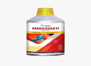 Mahashakti
