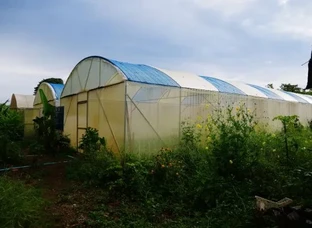 Polyhouse स्ट्रक्चर बनवाएं