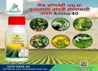 Agronomic Fertilizer