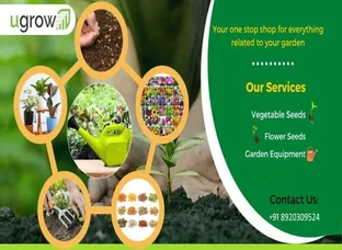 HERBS SEEDS, FLOWER SEEDS, EXOTIC VEGETABLES