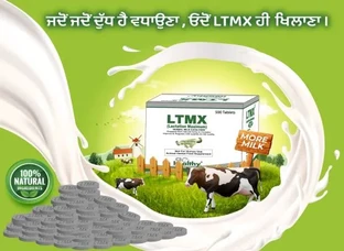 LTMX-Lactation Maximum