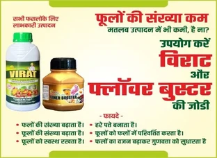 फ्लॉवर बूस्टर (Flower Booster)