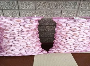 Garlic AVAILABLE