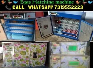 Egg to baby - Boiling Machine