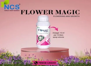 Flower Magic