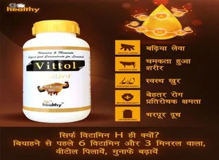 VITTOL BENEFITS