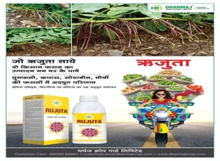जो ऋजुता लाये वो किसान उत्पादन मन भर पाये