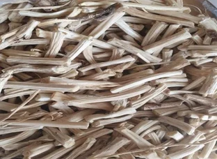 Satavari Root